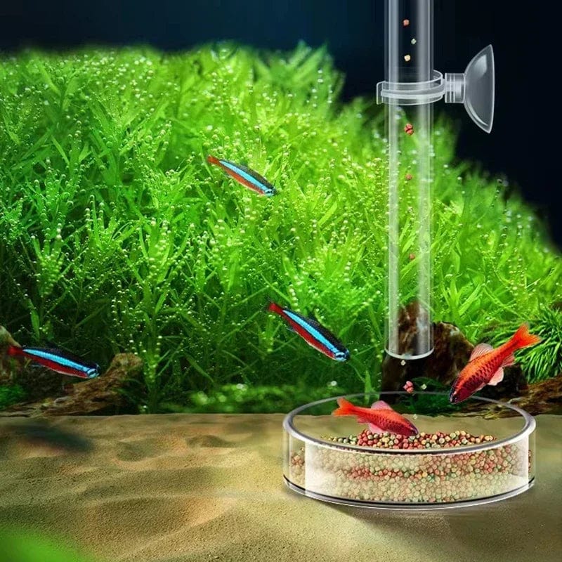 Akvarium Matningsrör för Räkor och Små Fiskar 5