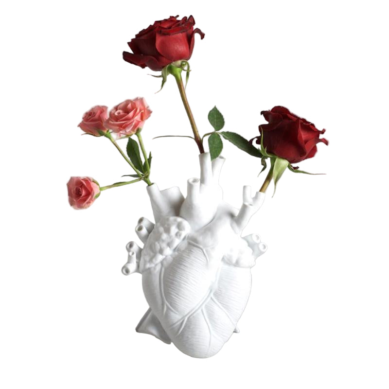 Anatomisk Hjärta Formad Vas för Heminredning 0