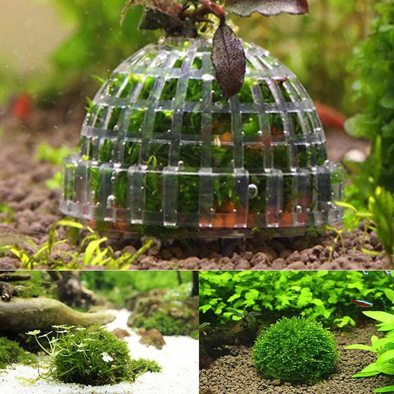 Aquarium Decoration Mossball for Fish and Shrimp 2