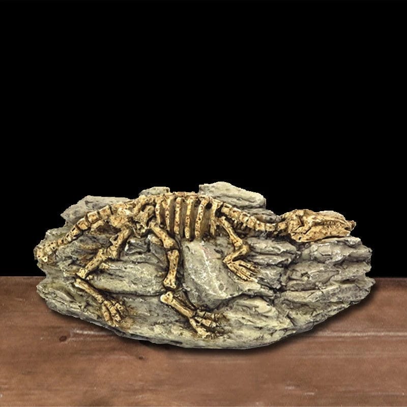 Dekorativ Akvariedekoration Dinosaurieskelett för Söt- och Saltvatten 4