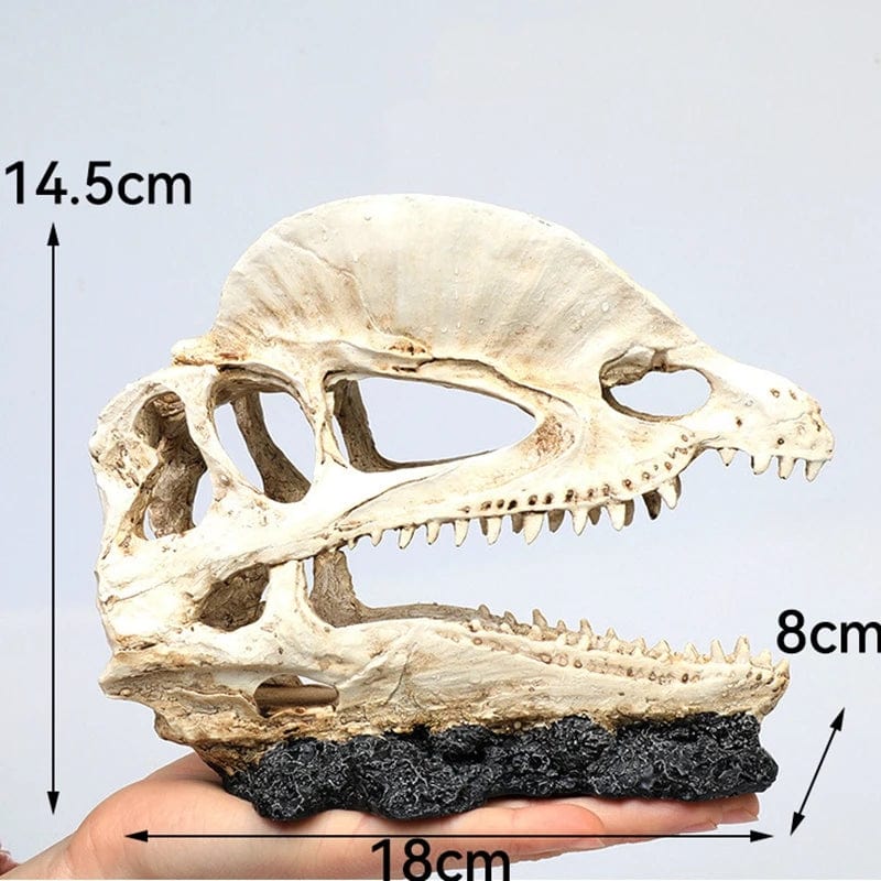 Dekorativ Akvariedekoration Dinosaurieskelett för Söt- och Saltvatten 9