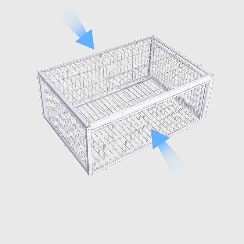 Djurvänlig Fågelfälla Envägsdesign för Trädgårdar och Utomhusområden 0