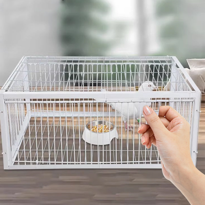Djurvänlig Fågelfälla Envägsdesign för Trädgårdar och Utomhusområden 1