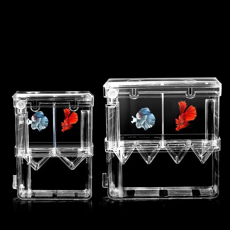 Dubbeldäckad Akvarium för Fiskuppfödning Transparent Design 3