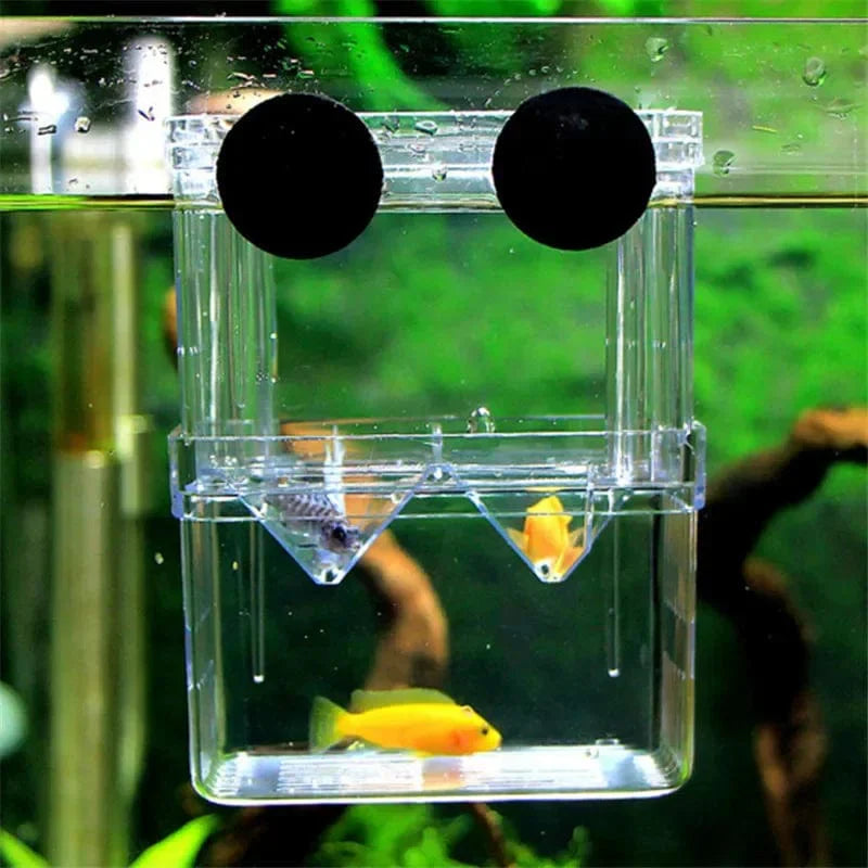 Dubbeldäckad Akvarium för Fiskuppfödning Transparent Design 4