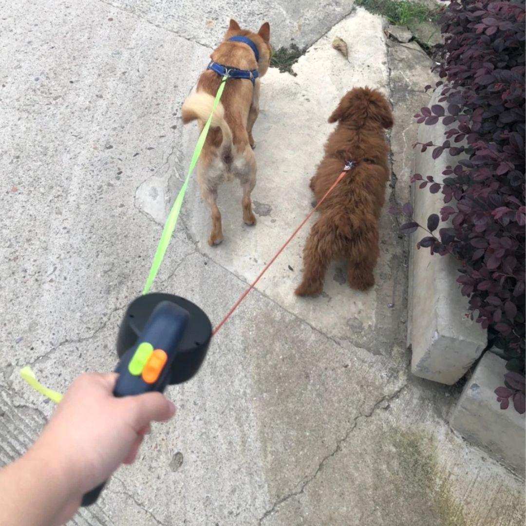 Dubbelt Hundkoppel med Ficklampa och 360-graders Trasslingsmekanism 5