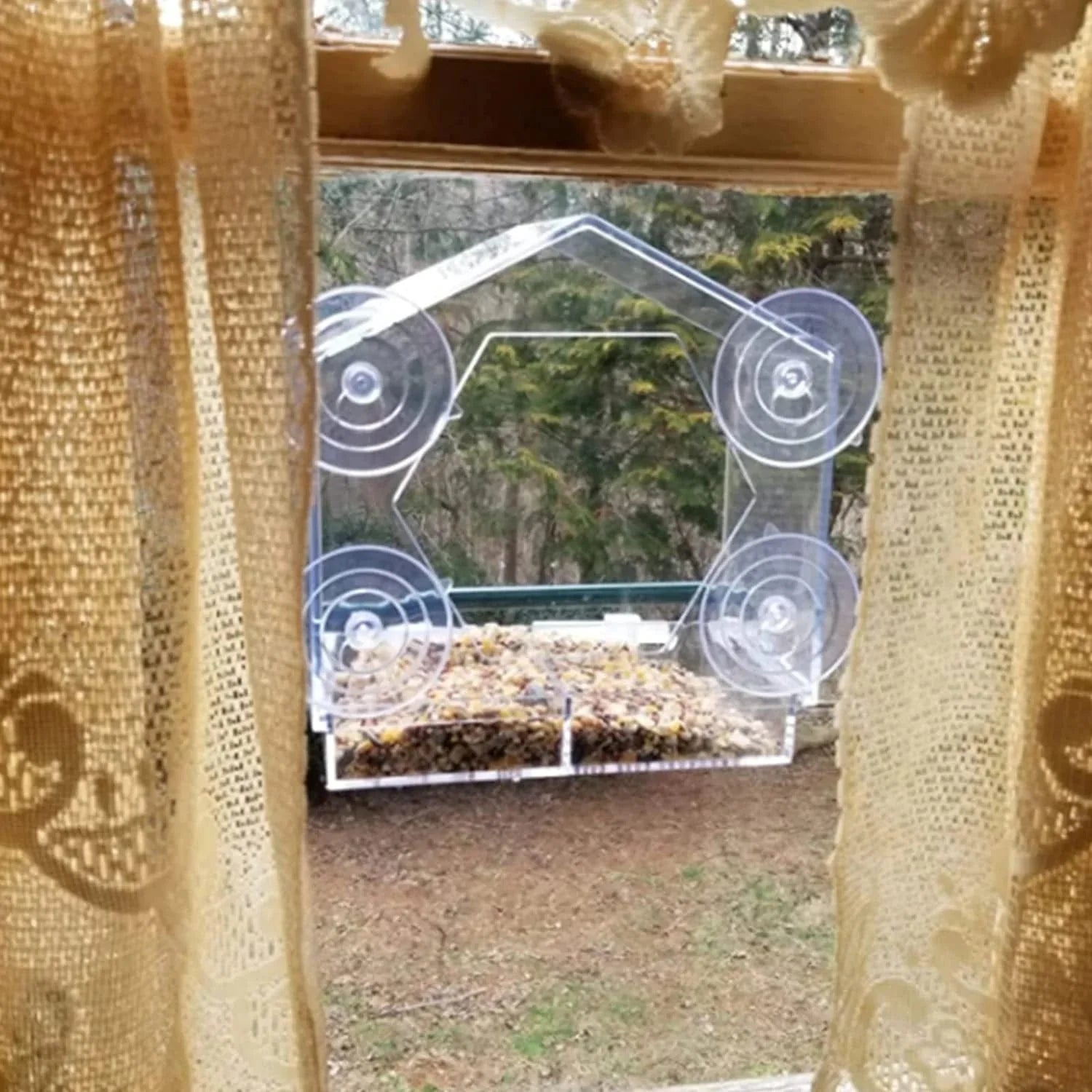 Fågelmatare för Fönster med Starka Sugkoppar 3