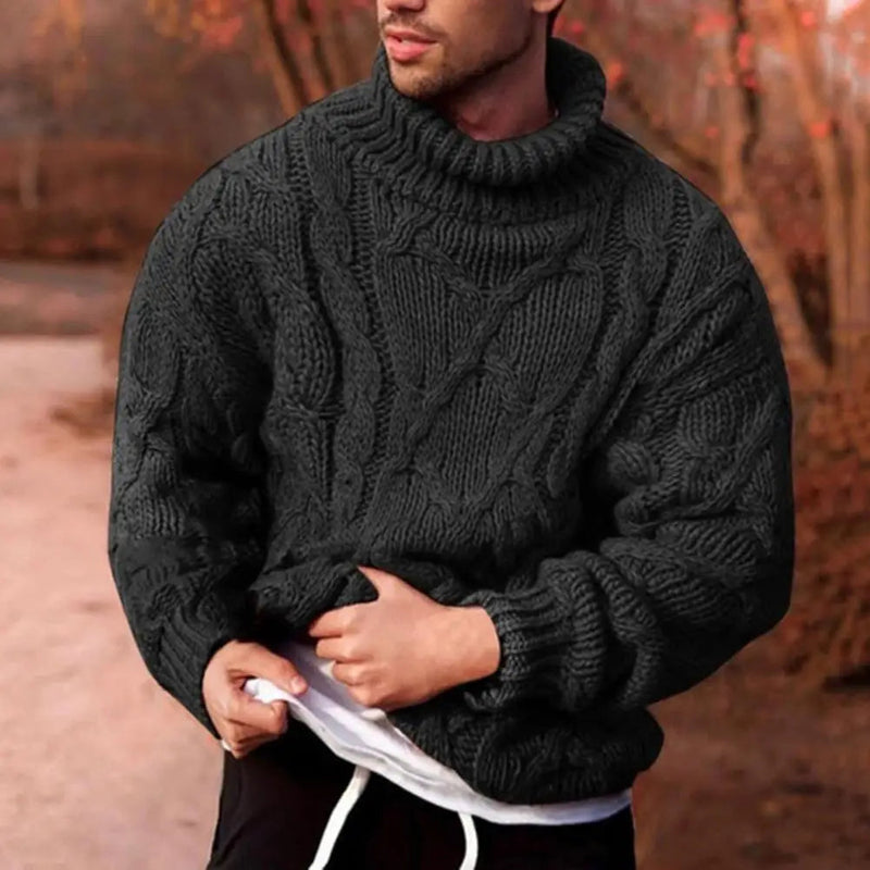 Herr Tröja Stickad Flätad Turtleneck 1