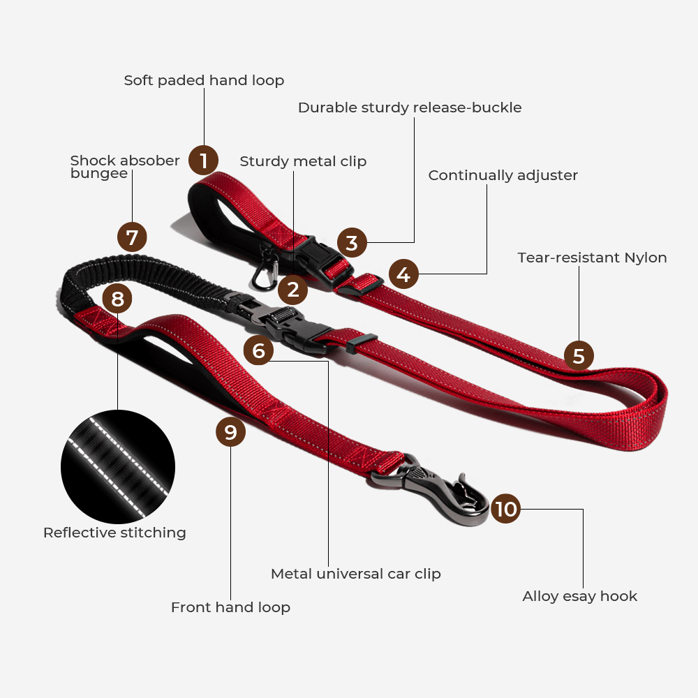 Hundens Regnrock Reflekterande Vatten- och Vindavvisande 8
