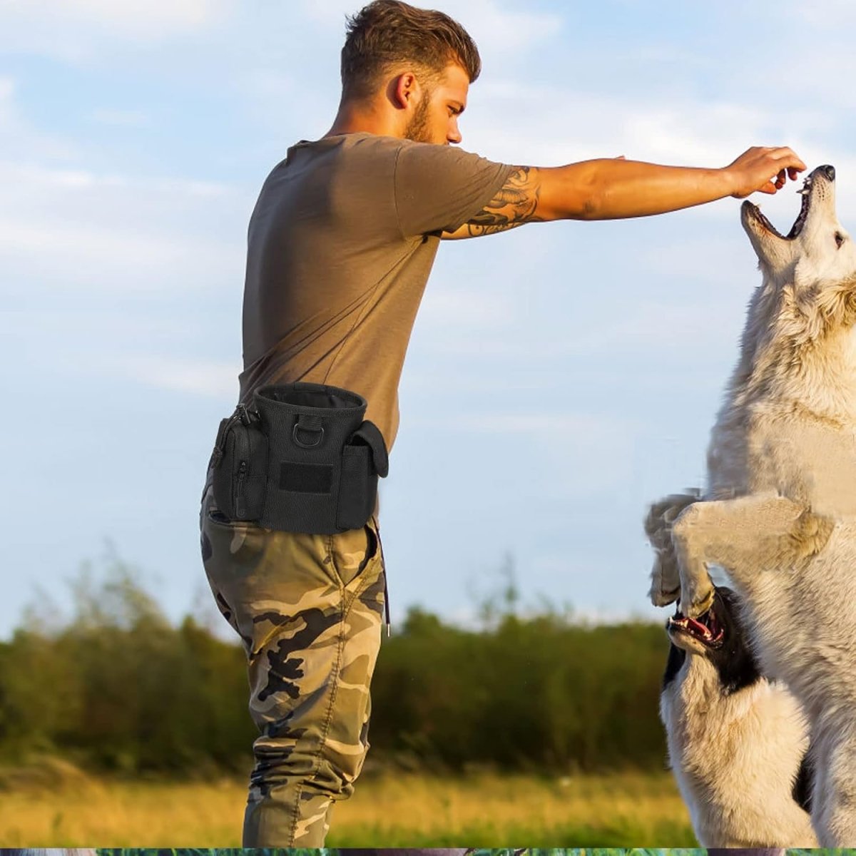 Hundgodispåse med Fickor och Dragkedjor för Promenader och Träning 2
