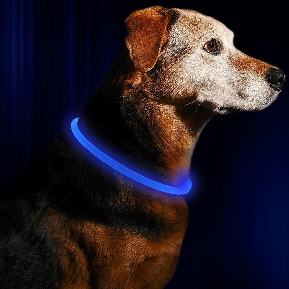 Hundhalsband LED-ljus Justerbart Vattentåligt för Säkerhet 1
