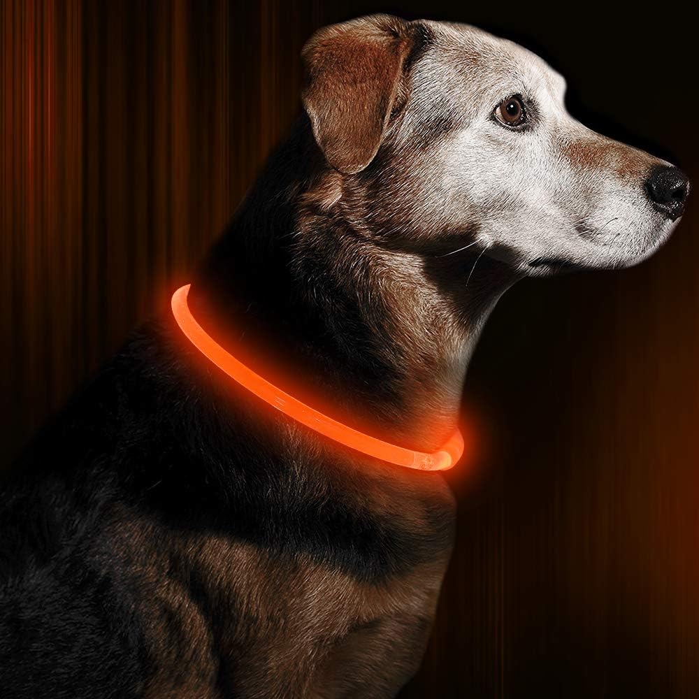 Hundhalsband LED-ljus Justerbart Vattentåligt för Säkerhet 3