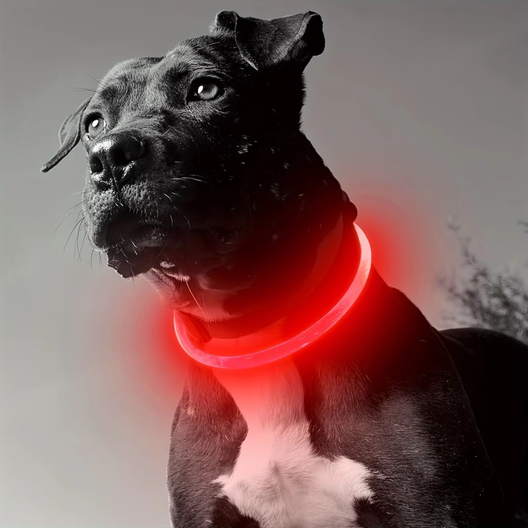 Hundhalsband LED-ljus Justerbart Vattentåligt för Säkerhet 7