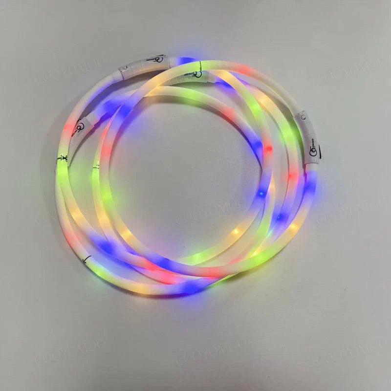 Hundhalsband LED Laddningsbart Färgglatt 2