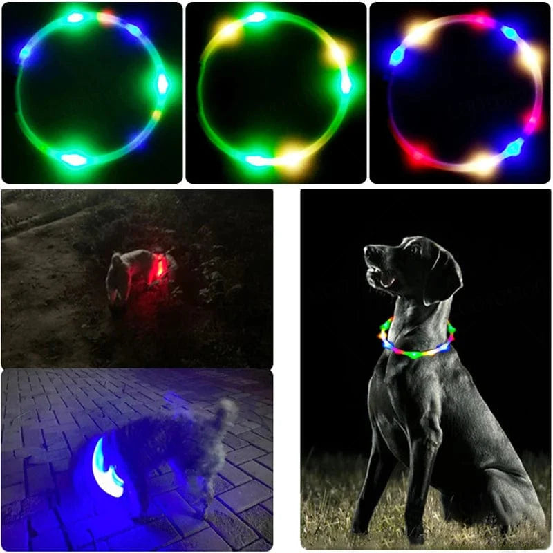 Hundhalsband LED Laddningsbart Färgglatt 4