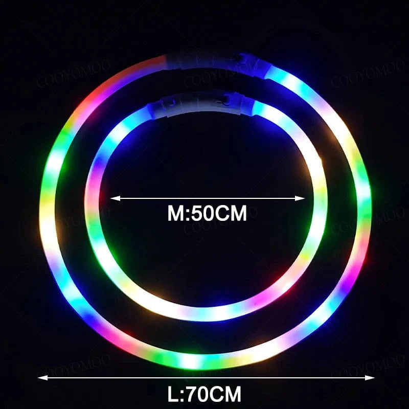 Hundhalsband LED Laddningsbart Färgglatt 5
