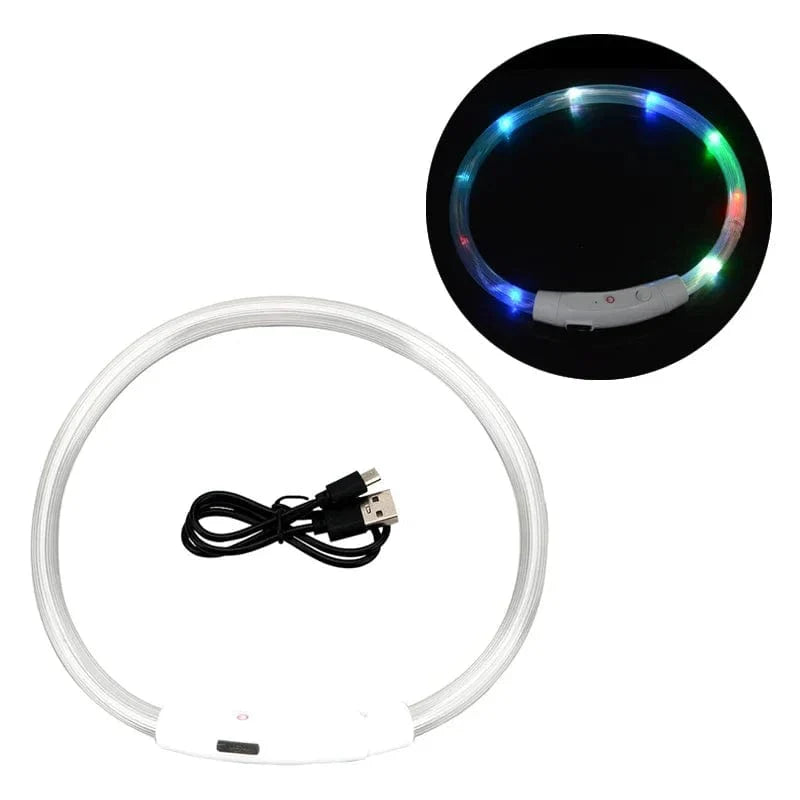 Hundhalsband LED Laddningsbart Färgglatt 6