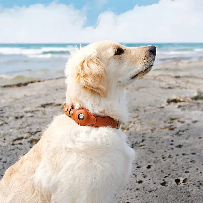 Hundhalsband med AirTag-fäste Slitstark Vattentålig Design för Trygghet och Komfort 1