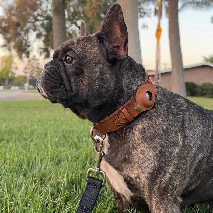 Hundhalsband med AirTag-fäste Slitstark Vattentålig Design för Trygghet och Komfort 2