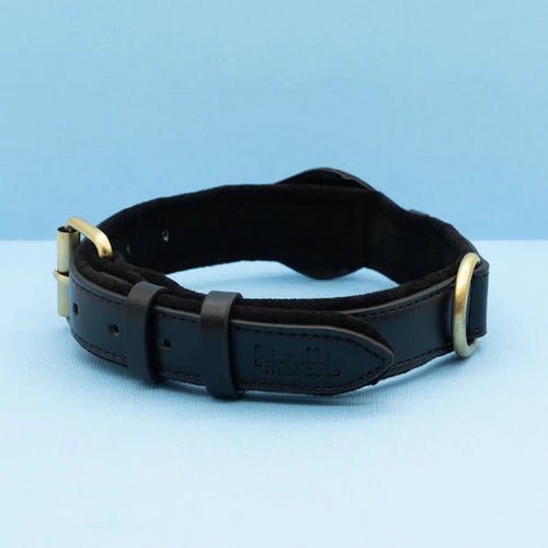 Hundhalsband med AirTag-fäste Slitstark Vattentålig Design för Trygghet och Komfort 6