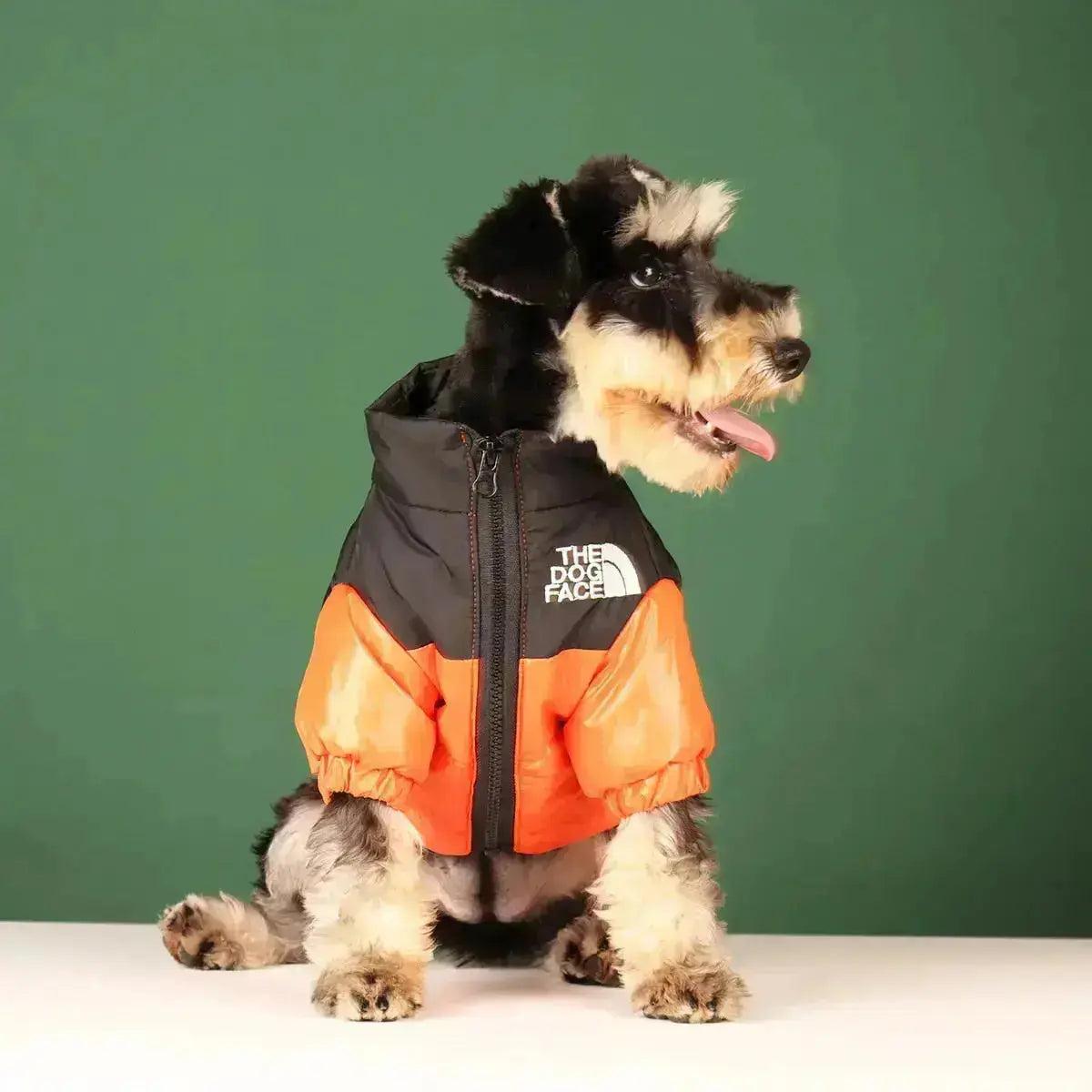 Hundjacka med Hundansikte Typ A för Vinterpromenader 8