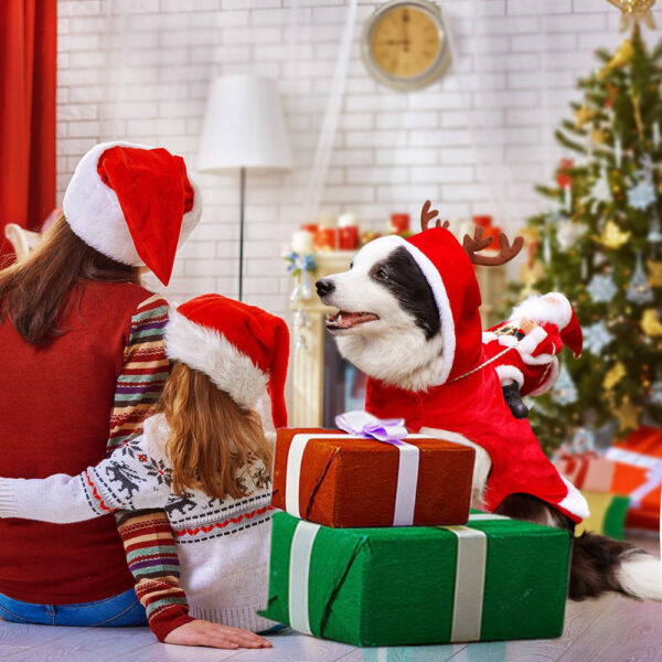 Hundkostym för Julfirande Festlig 1