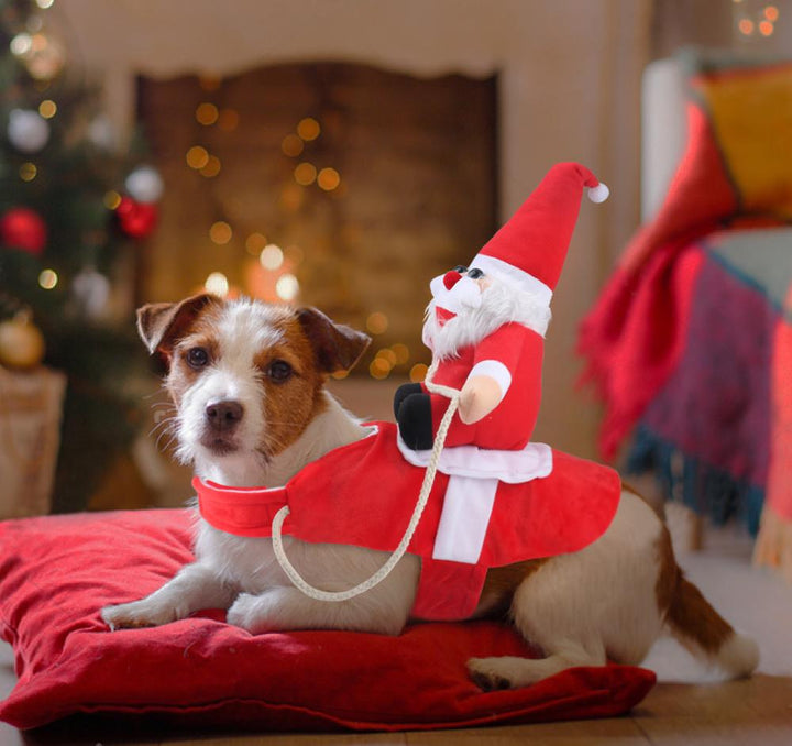 Hundkostym för Julfirande Festlig 3
