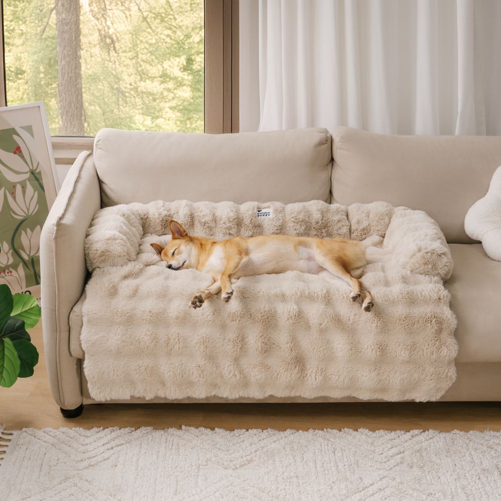 Hundsäng PlushNest Mångsidig och Bekväm för Ditt Husdjur 2