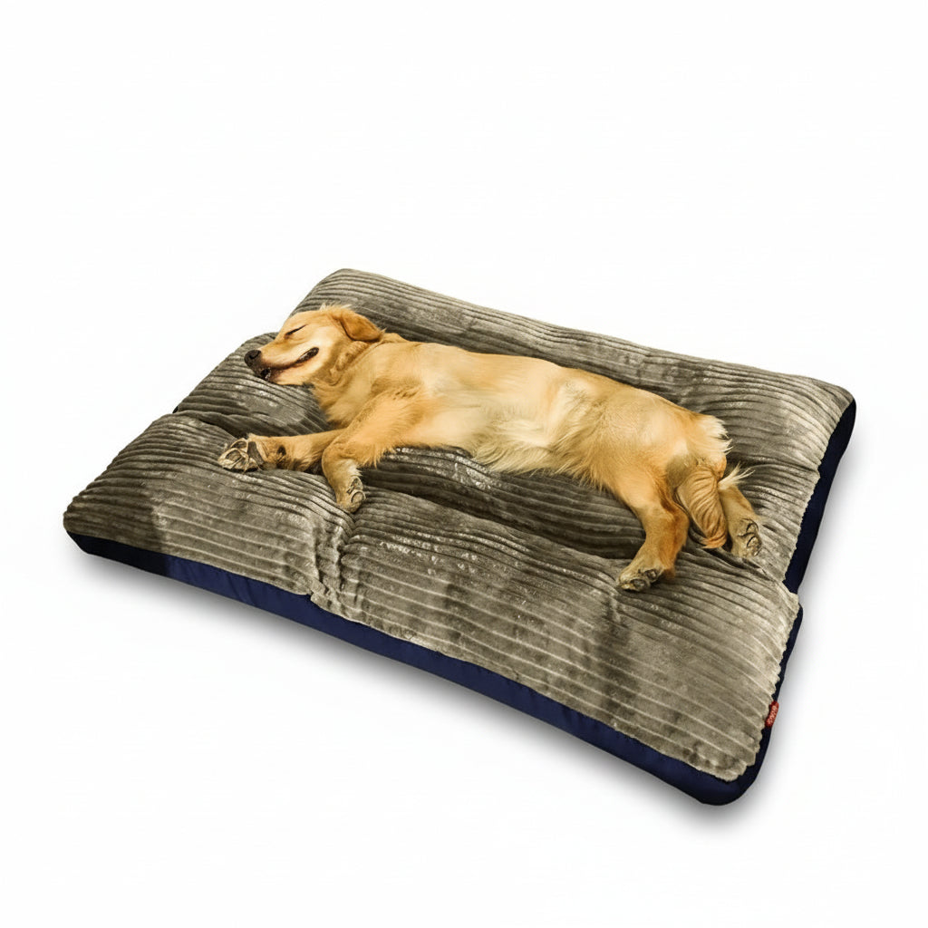 Hundsäng Vintervänlig Med Stöd För Optimal Komfort 0