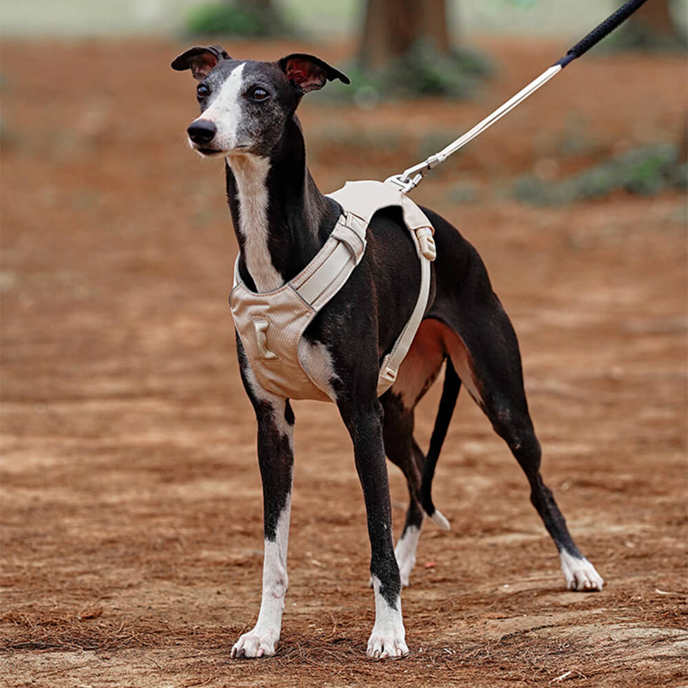 Hundsele Multifunktionell med Anti-Pull Design för Bekväma Promenader 2