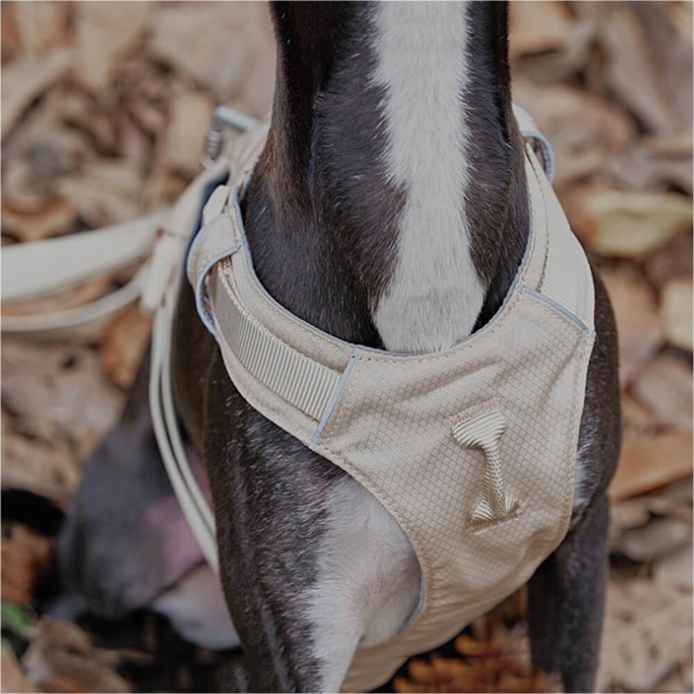 Hundsele Multifunktionell med Anti-Pull Design för Bekväma Promenader 7
