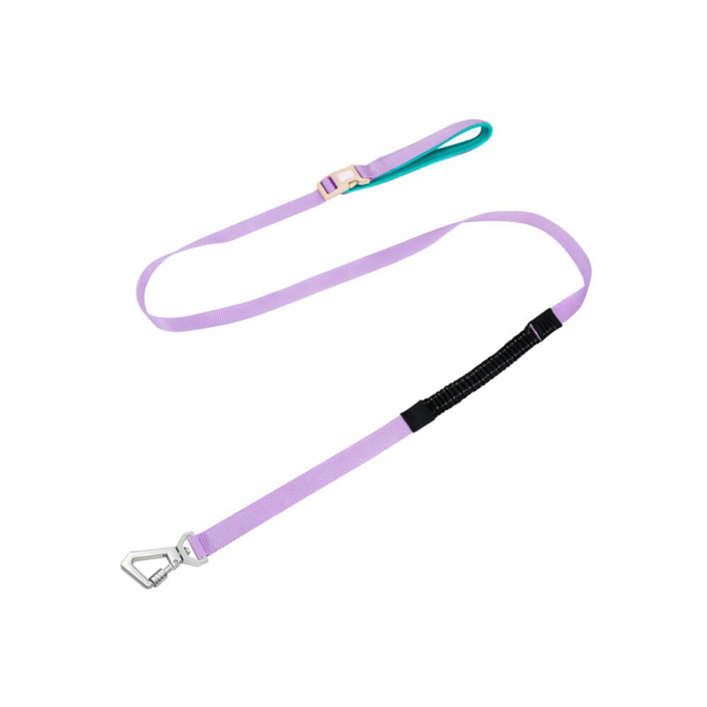 Hundsele Multifunktionell med Anti-Pull Design för Bekväma Promenader 9