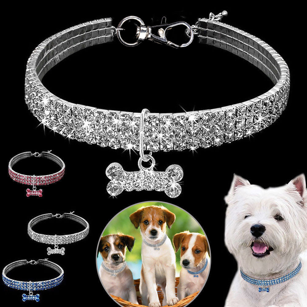Husdjurshalsband Bling Detaljer Glamourös Design för Små Hundar och Katter 1