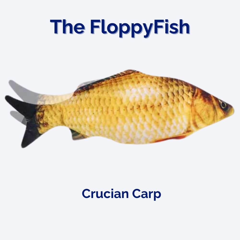 Interaktiv Hundleksak FloppyFish med Realistisk Rörelse 3