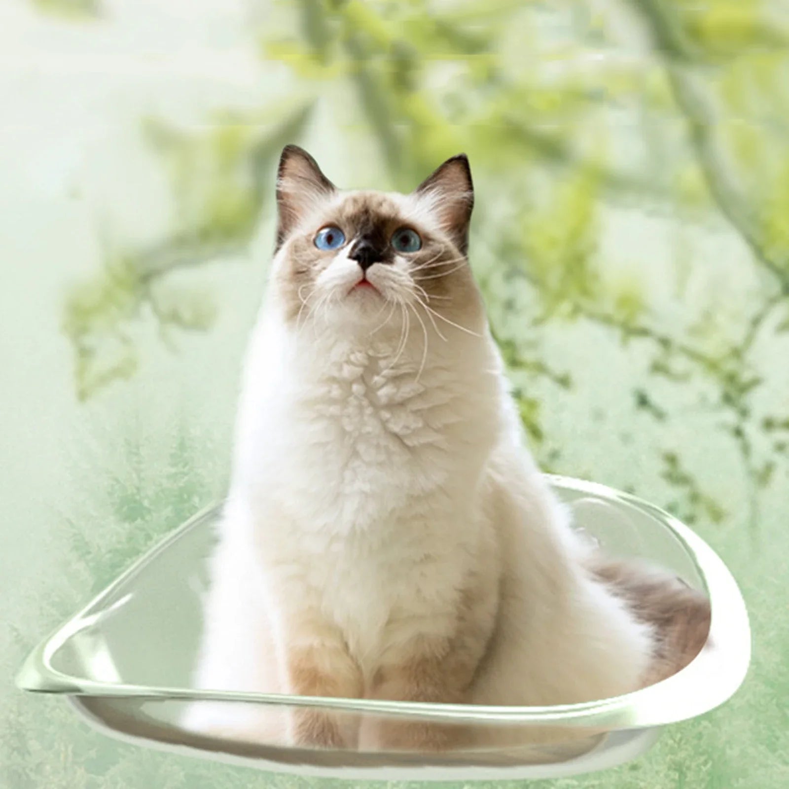 Katt Hängmatta För Fönster Med Utsikt 1