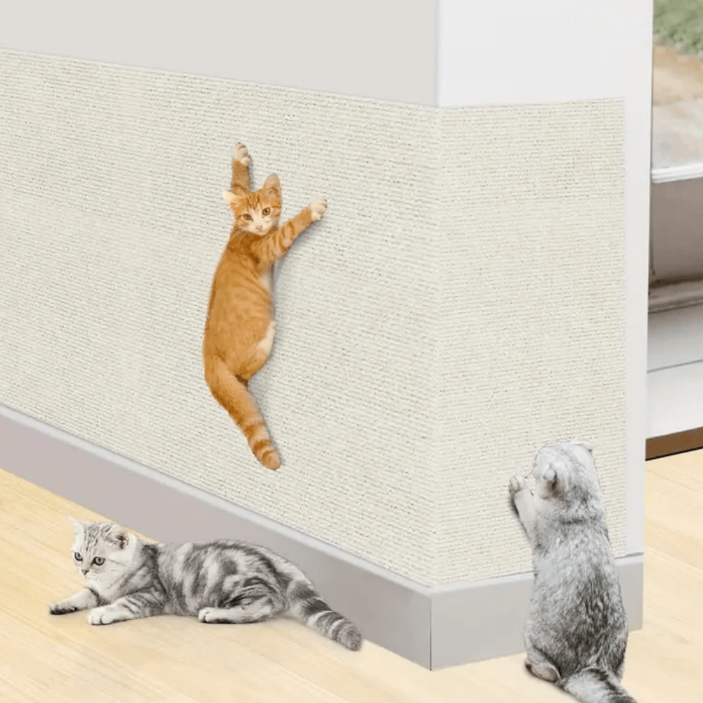 Kattens Klösmatta ScratchPro 6