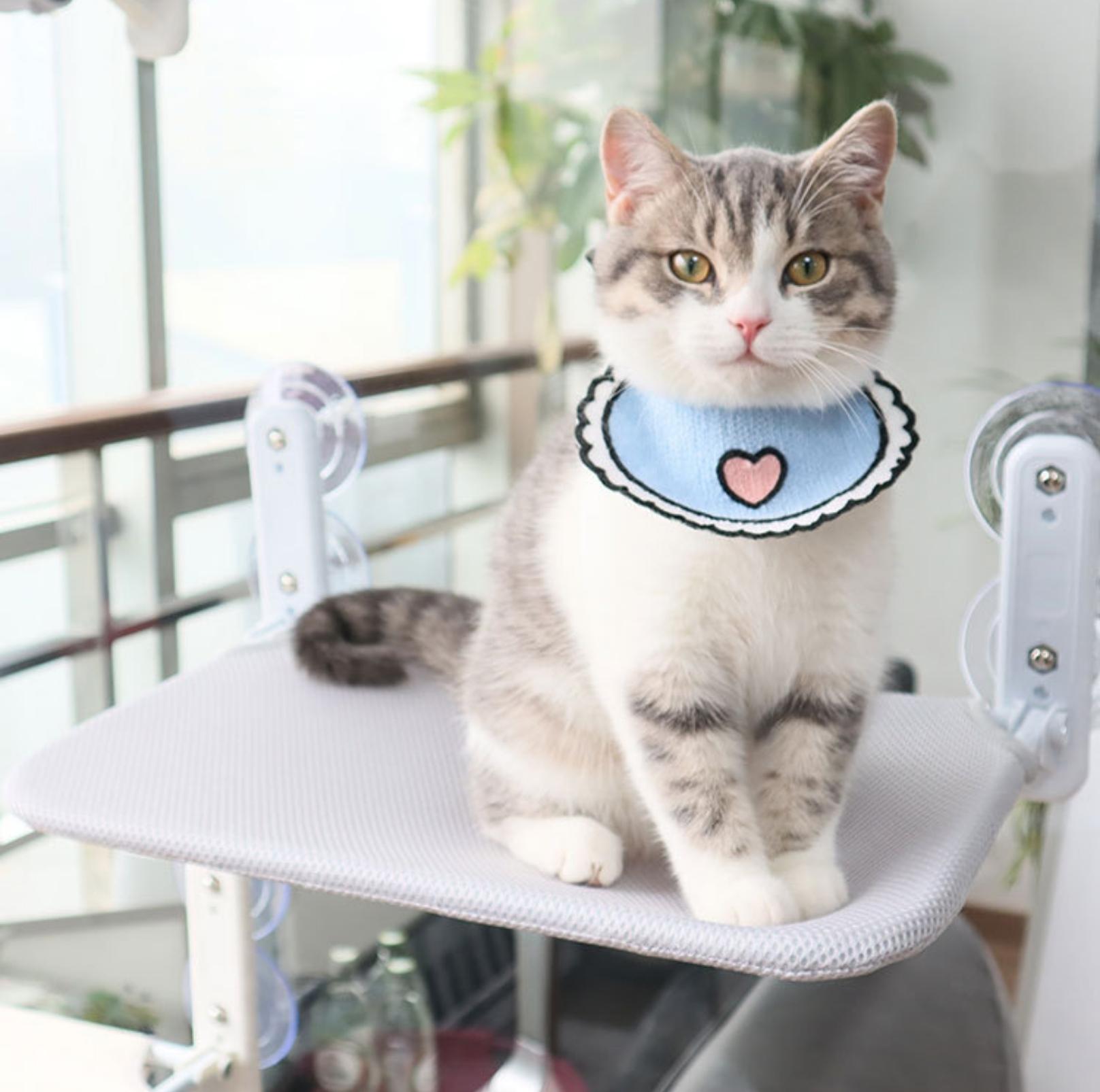 Kattfönsterhängmatta För Avkoppling Med Robust Konstruktion 0