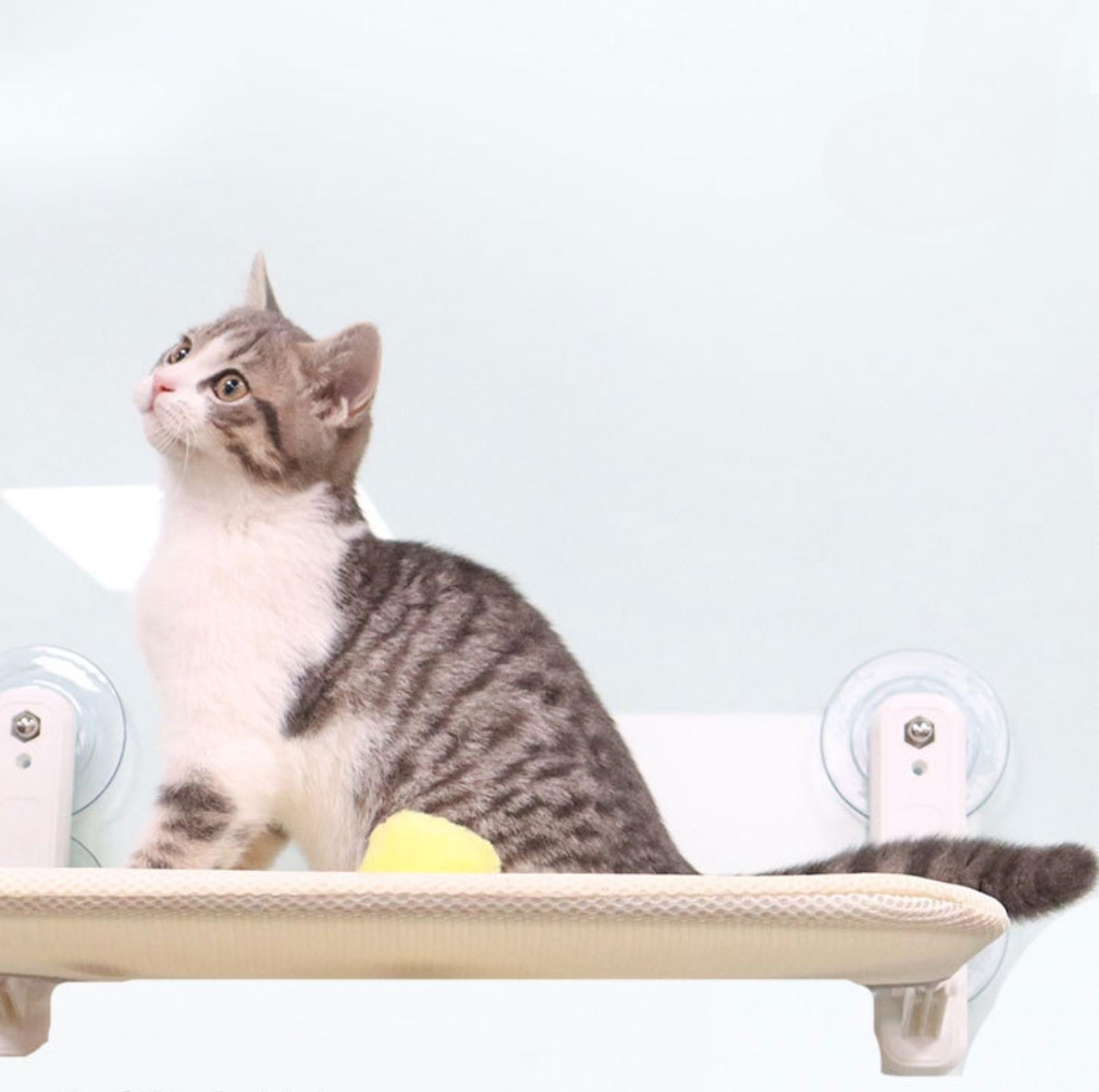 Kattfönsterhängmatta För Avkoppling Med Robust Konstruktion 4