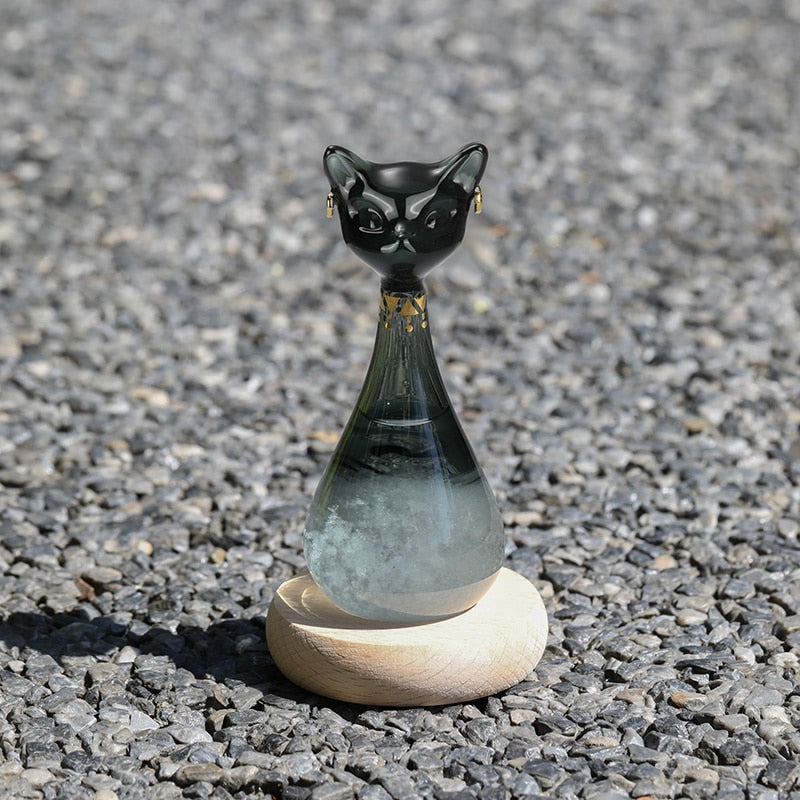 Kattinspirerad Väderprognosflaska 1