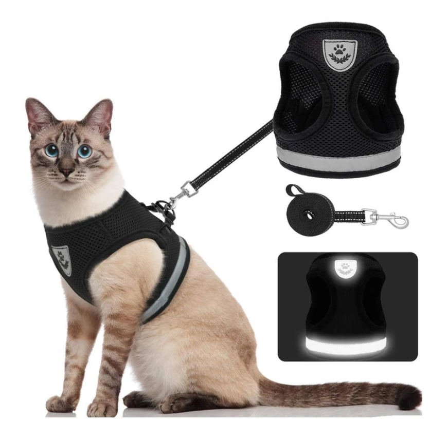 Kattsele med koppel för äventyr 0