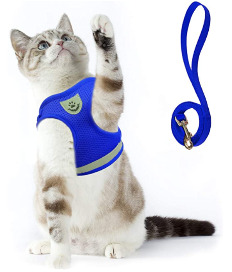 Kattsele med koppel för äventyr 10