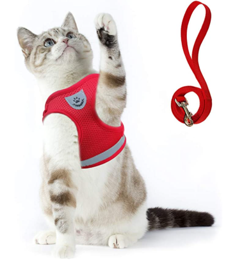 Kattsele med koppel för äventyr 9