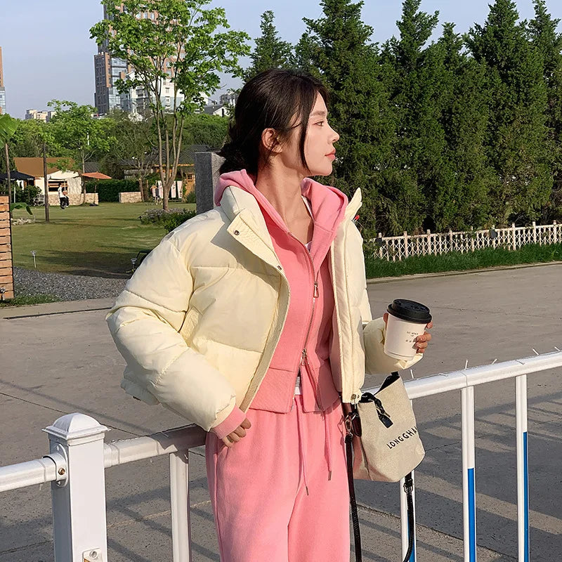 Kort Vinterjacka Dam Puffer med Ståkrage 2