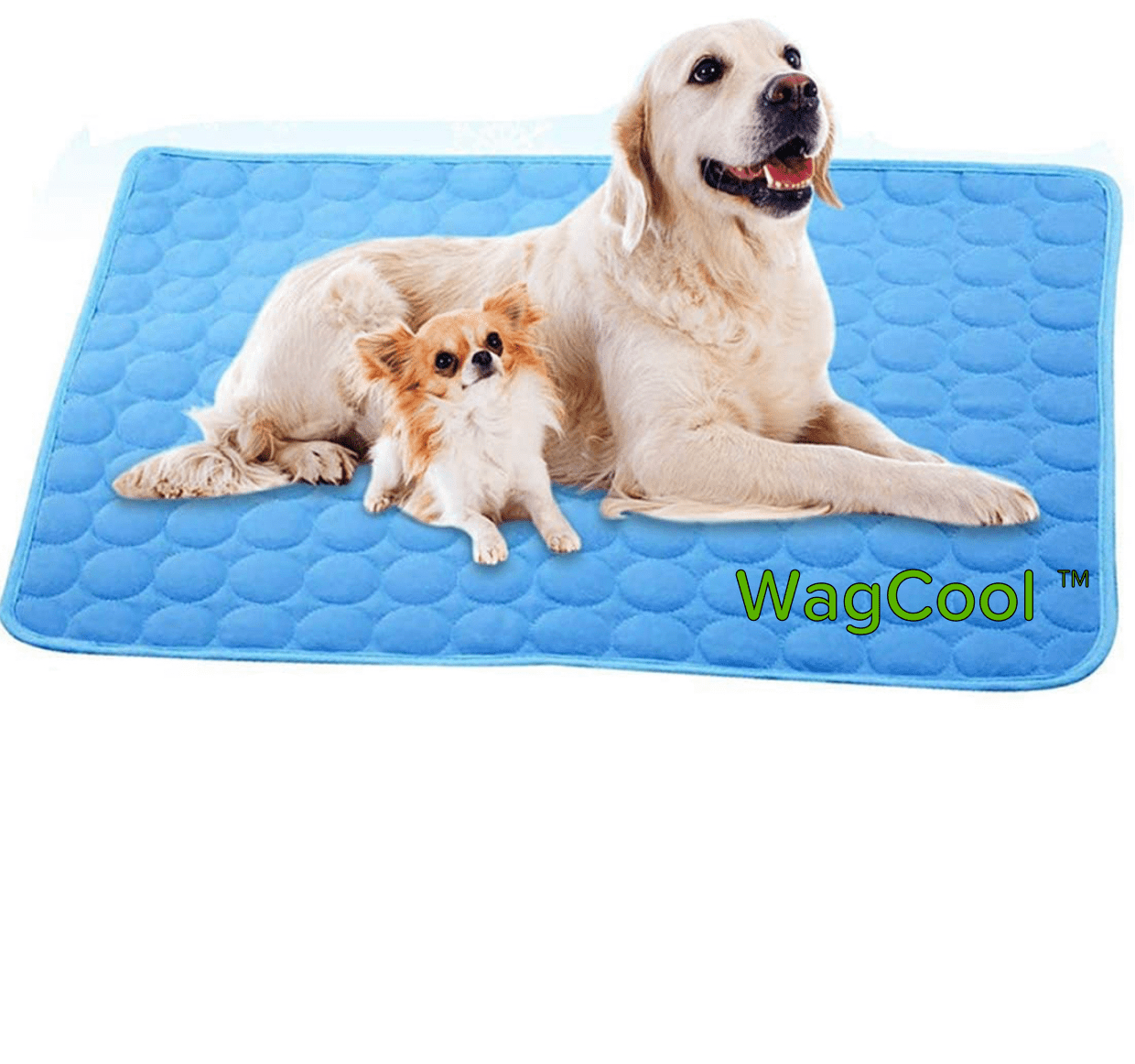 Kylmatta För Hundar Tryckaktiverad För Sommaren 0