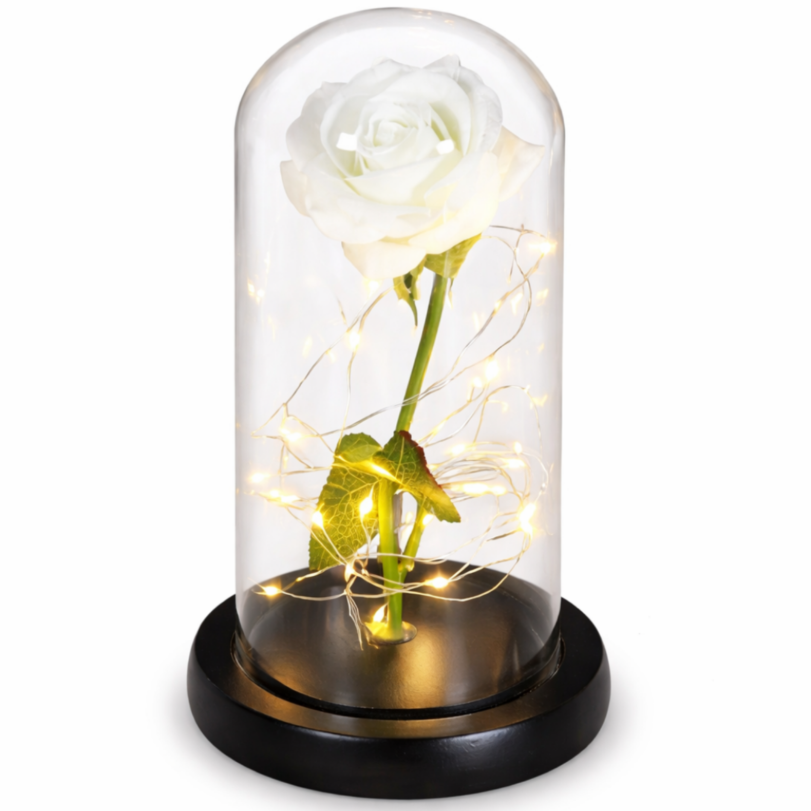 LED-evighetsros 1