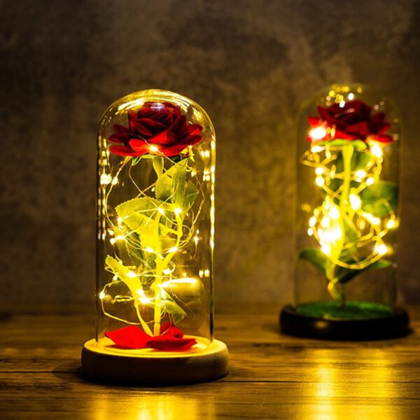 LED-evighetsros 3