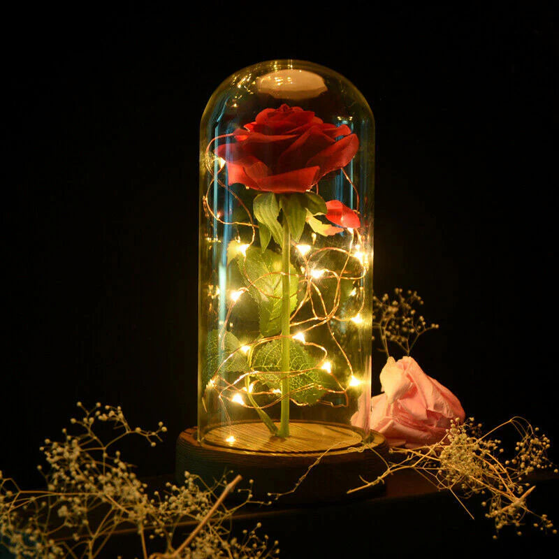 LED-evighetsros 5