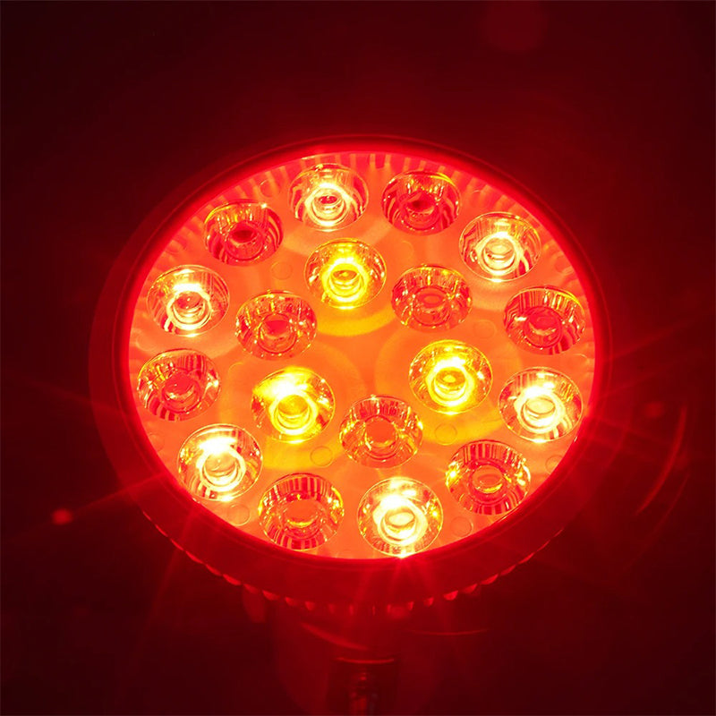 LED Terapilampa med Klämfäste 1