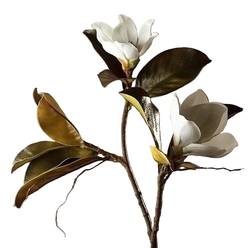 Magnolia Blomma Dekoration För Hemmet Naturlig Design 0