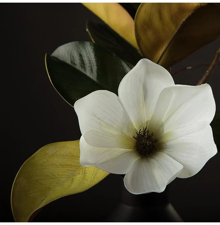 Magnolia Blomma Dekoration För Hemmet Naturlig Design 3